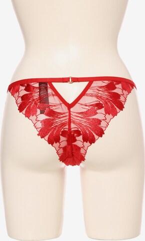 Bluebella Panty 'Colette' in Red