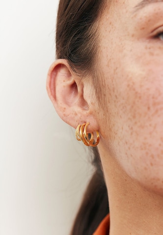 Stilnest Earrings in Gold: front