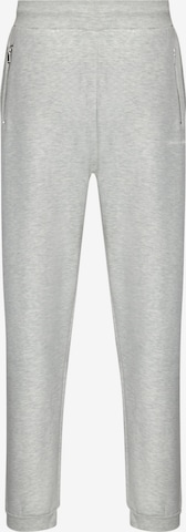 Tapered Pantaloni di Dropsize in grigio: frontale