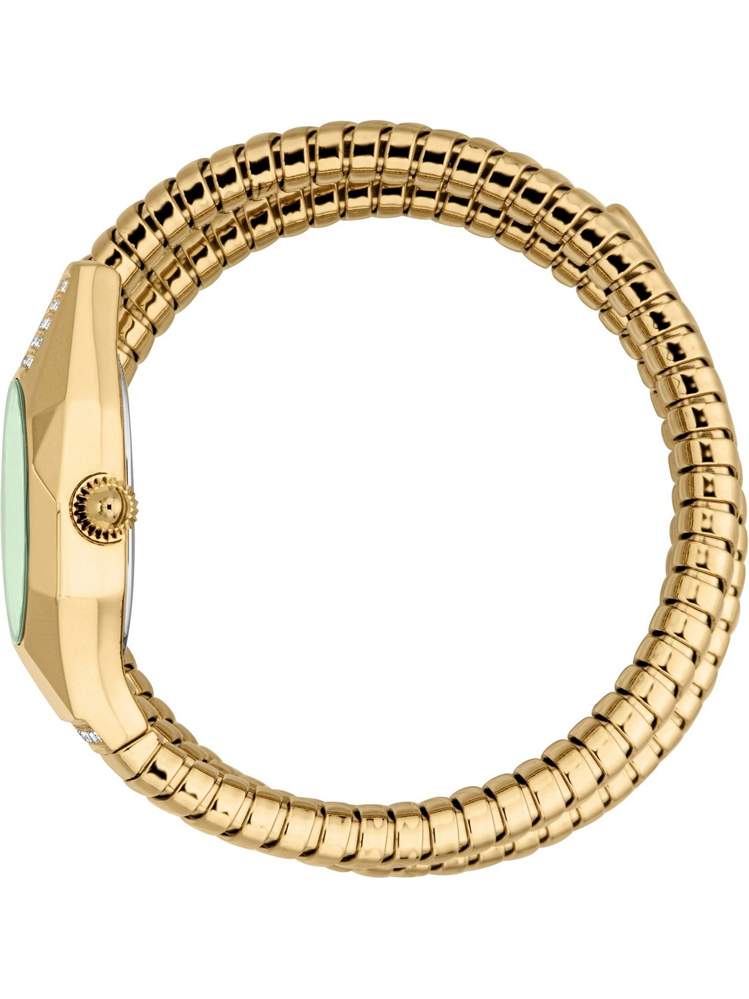 Just Cavalli Time Analog Watch in Gold