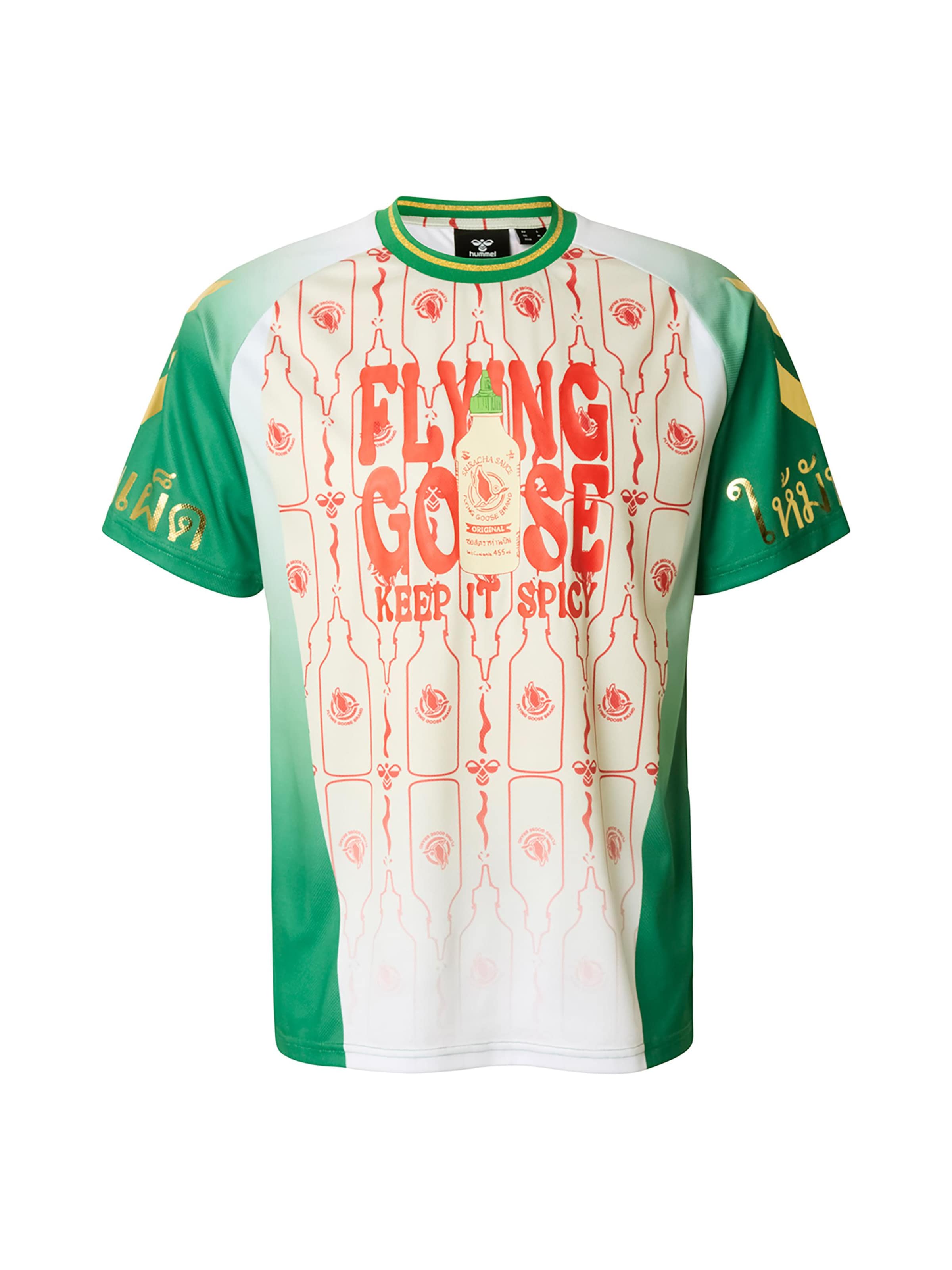 Hummel Jersey 'Sriracha' in Mixed colors