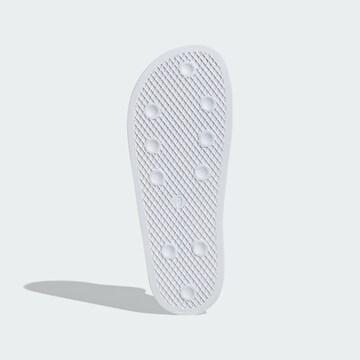 ADIDAS ORIGINALS Beach & swim shoe 'Adilette' in White