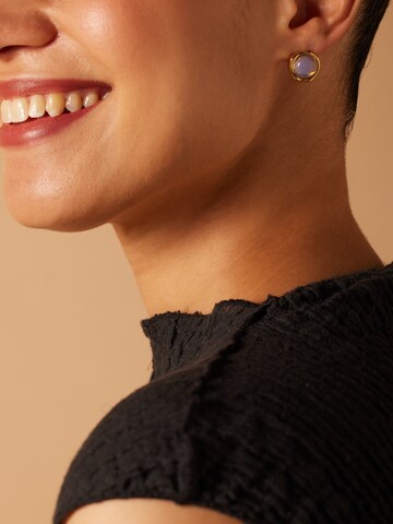 Lucardi Earrings in Gold: front