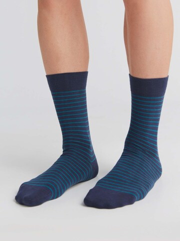 Albero Natur Socks 'Bio-Baumwoll-Socken mit längerem Bündchen - 4er Pack' in Green: front