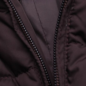 BOSS Jacket & Coat in XL in Brown