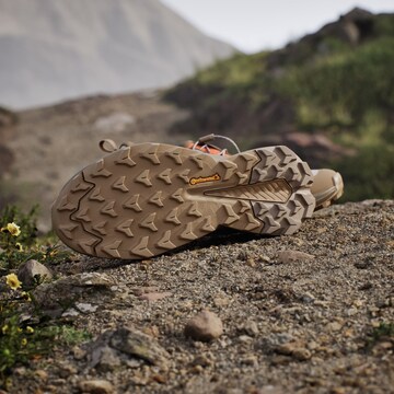 Chaussure basse 'Trailmaker 2' ADIDAS TERREX en beige