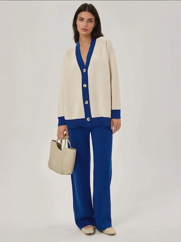 Hiccup - Calças de fato em azul: frente