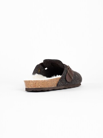 Bayton Cokle | rjava barva