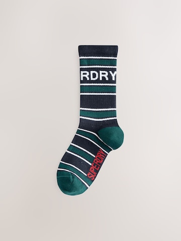 Calzino di Superdry in blu