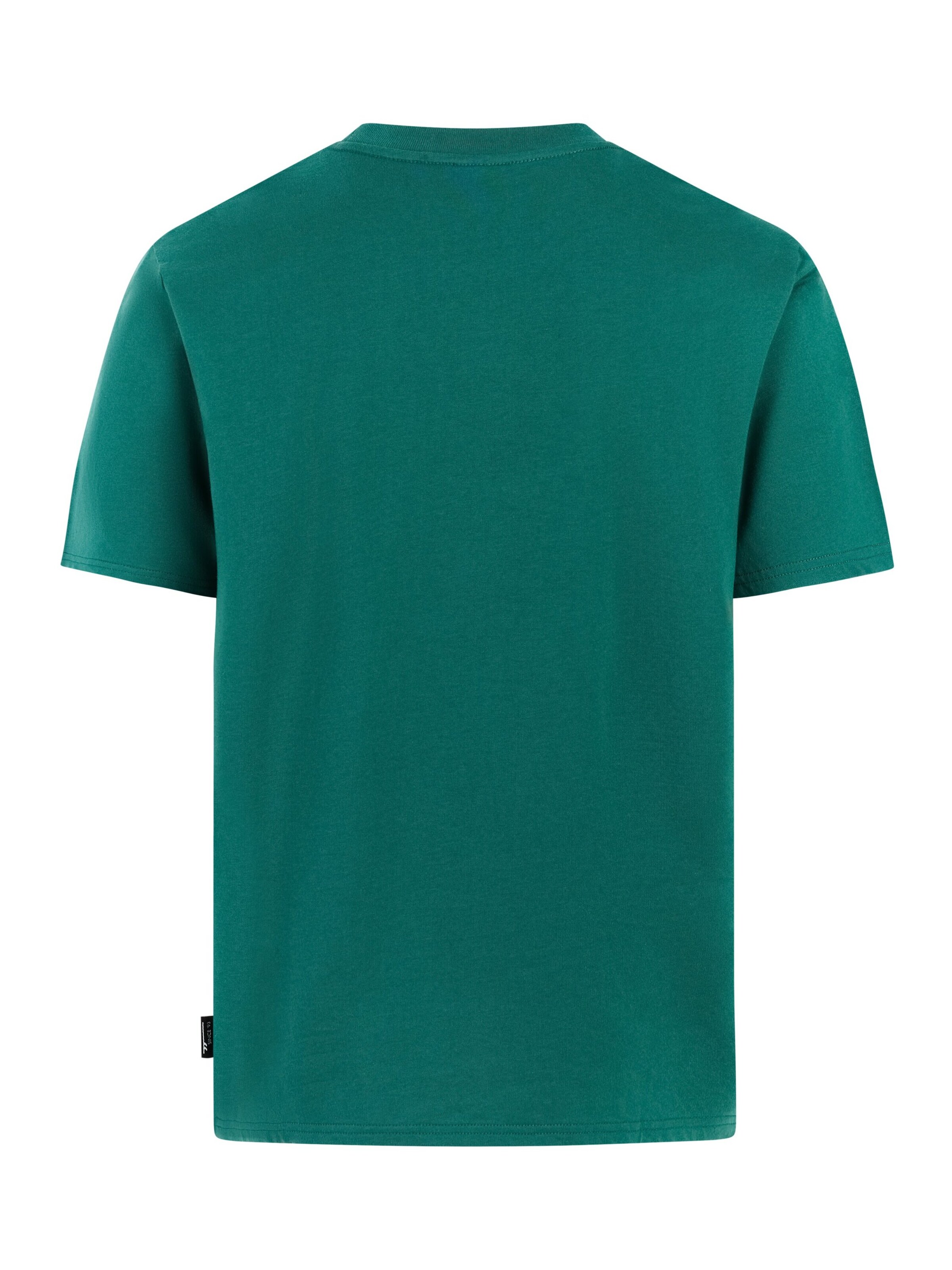 PROTEST Shirt 'PRTBiki' in Groen