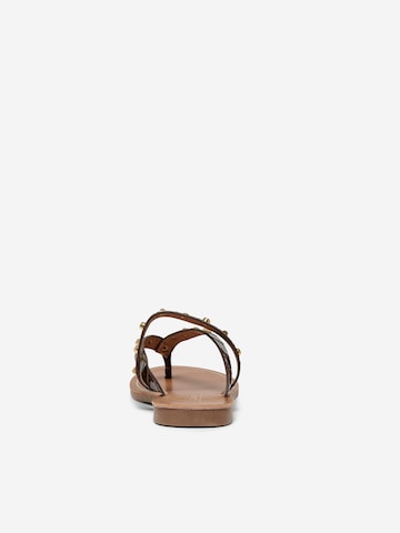 ONLY T-Bar Sandals 'Melly' in Brown