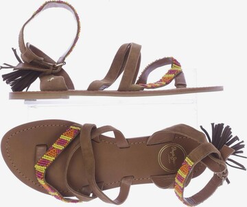 Pepe Jeans Sandals & High-Heeled Sandals in 38 in Brown: front