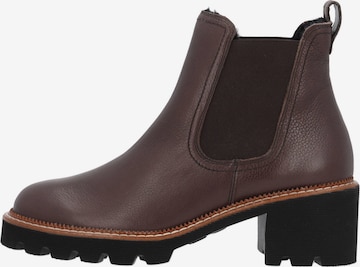 Paul Green Chelsea Boots '8076' in Braun