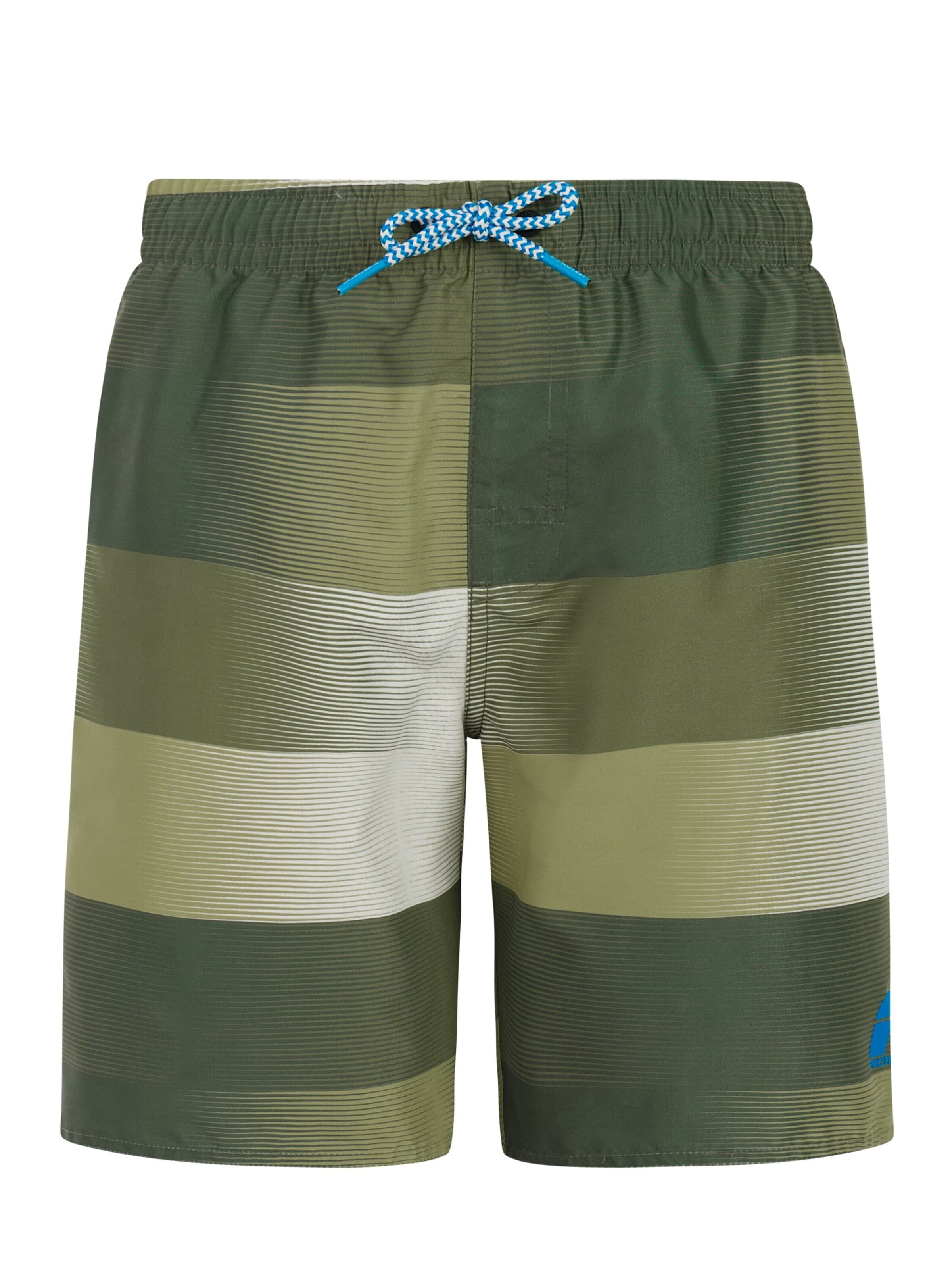 PROTEST Board Shorts 'PRTJames JR' in Green: front