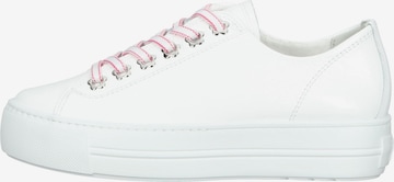 Paul Green Sneakers in White