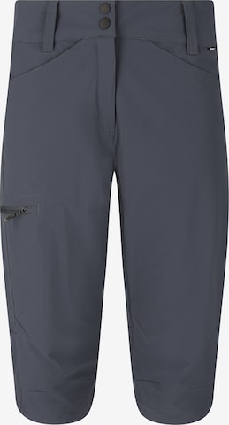 Whistler Outdoor trousers 'SHANNIE' in Blue: front