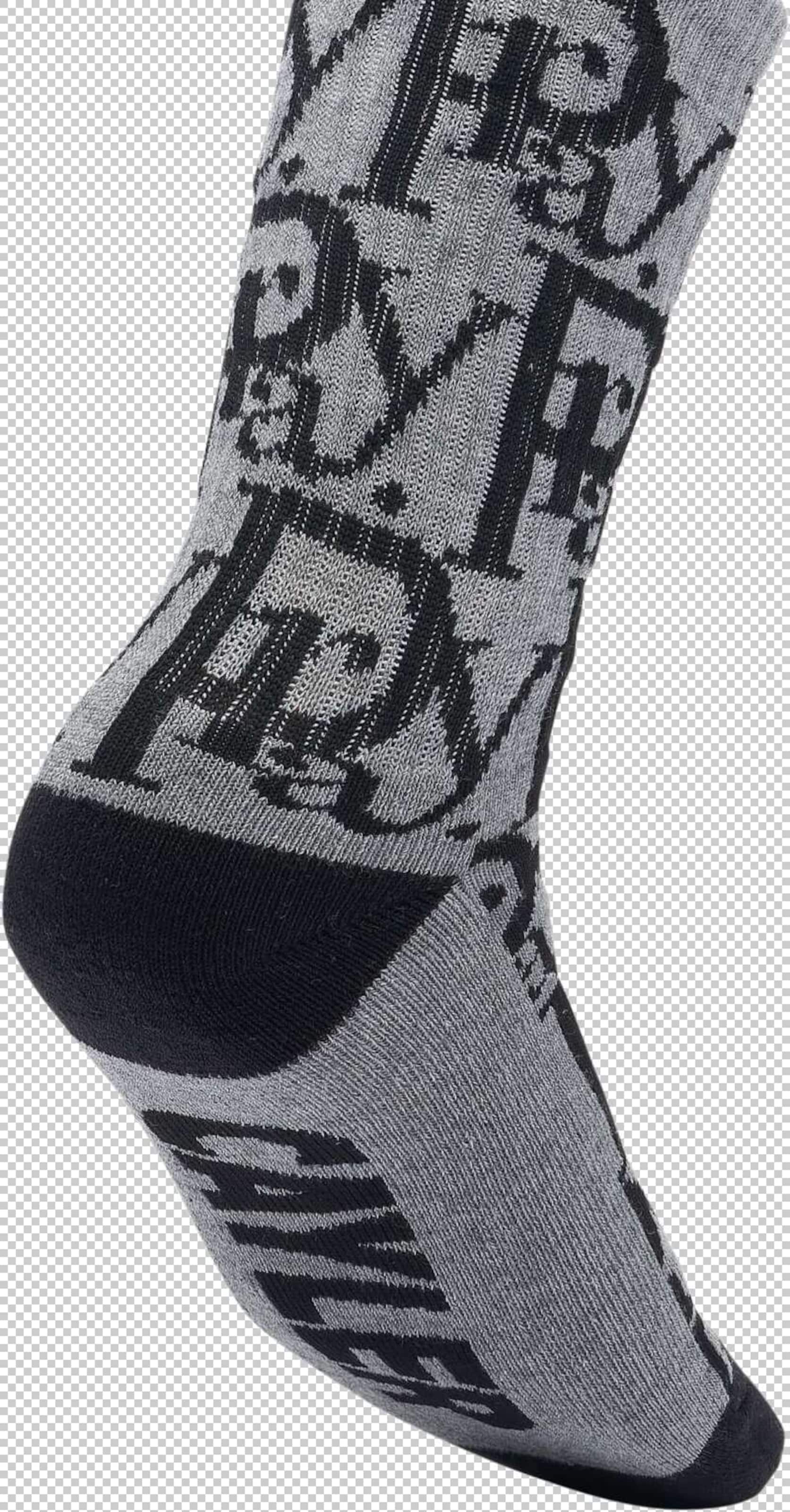 Chaussettes 'Prayor' Cayler & Sons en noir