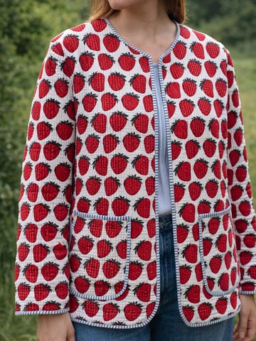 ASHINDIA Between-Season Jacket in Mixed colors