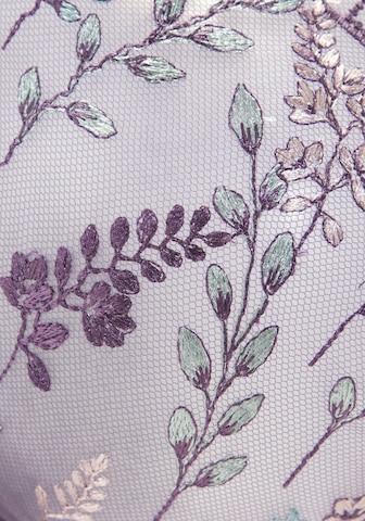 LASCANA Triangel BH in Lila