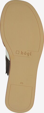 Zoccoletto di Högl in marrone