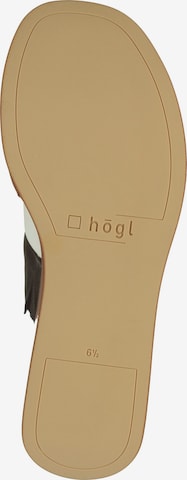 Högl Pantolette in Braun