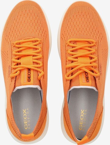 Sneaker bassa 'Spherica' di GEOX in arancione