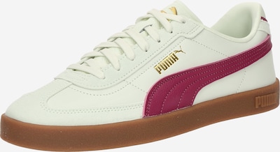 PUMA Matalavartiset tennarit 'Club II Era' värissä kulta / pastellinvihreä / fuksia, Tuotenäkymä