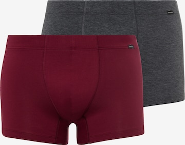 Hanro Boxer shorts 'Cotton Essentials' in Grey: front