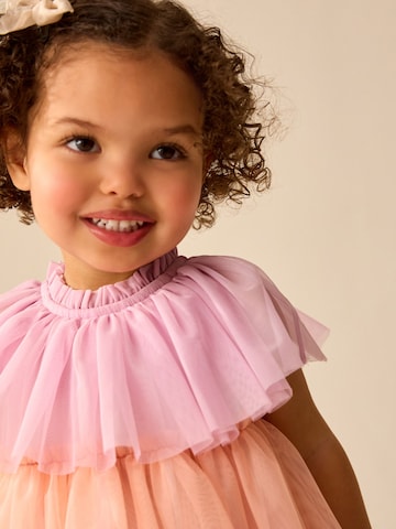 Robe Next en mélange de couleurs