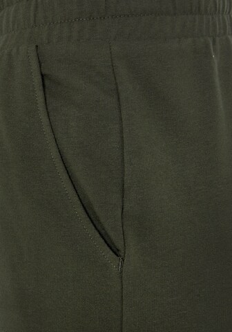FCUK Tapered Pants in Green