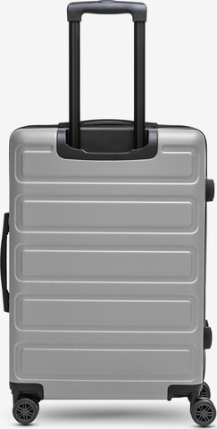 Redolz Suitcase Set in Grey