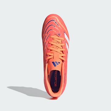 ADIDAS PERFORMANCE Voetbalschoen 'Predator Club' in Oranje
