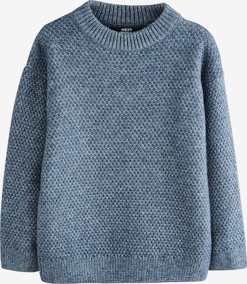 mėlyna Next Megztinis: priekis