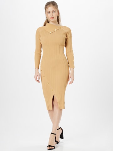 Coast Knitted dress in Brown