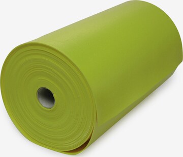 YOGISTAR.COM Mat in Green: front