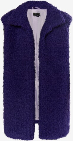 faina Vest in Purple: front