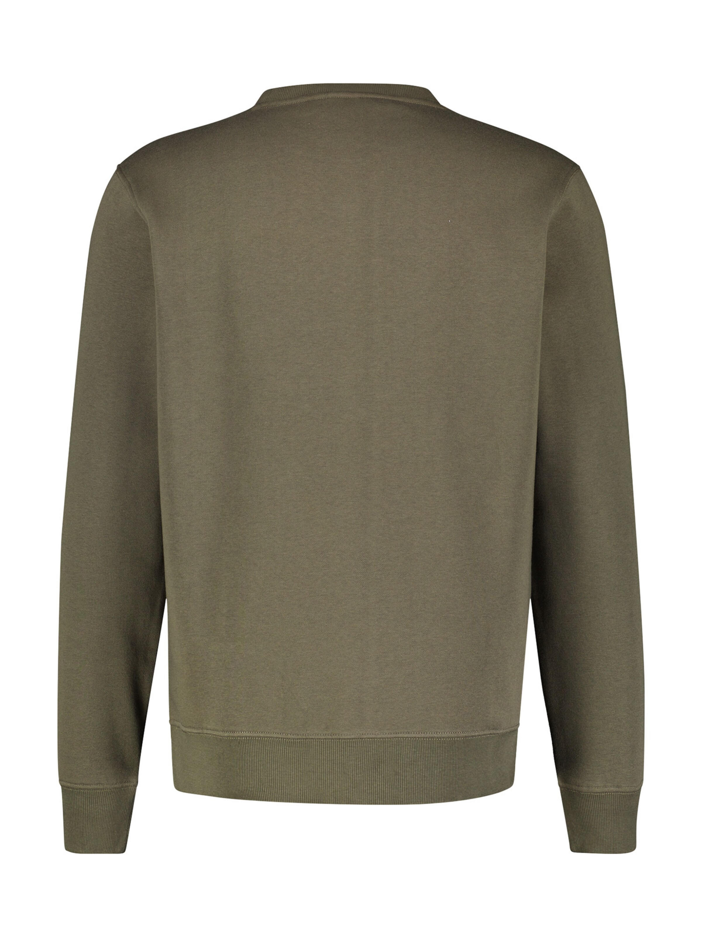 LERROS Sweatshirt in Green