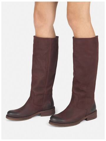 FELMINI Boot 'Cooper A712' in Brown