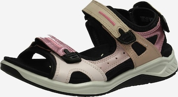 ECCO Sandals in Beige: front