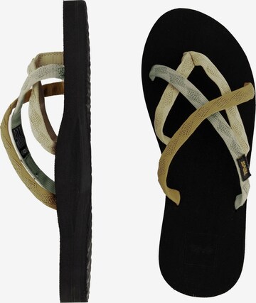 TEVA T-Bar Sandals 'Olowahu' in Mixed colors