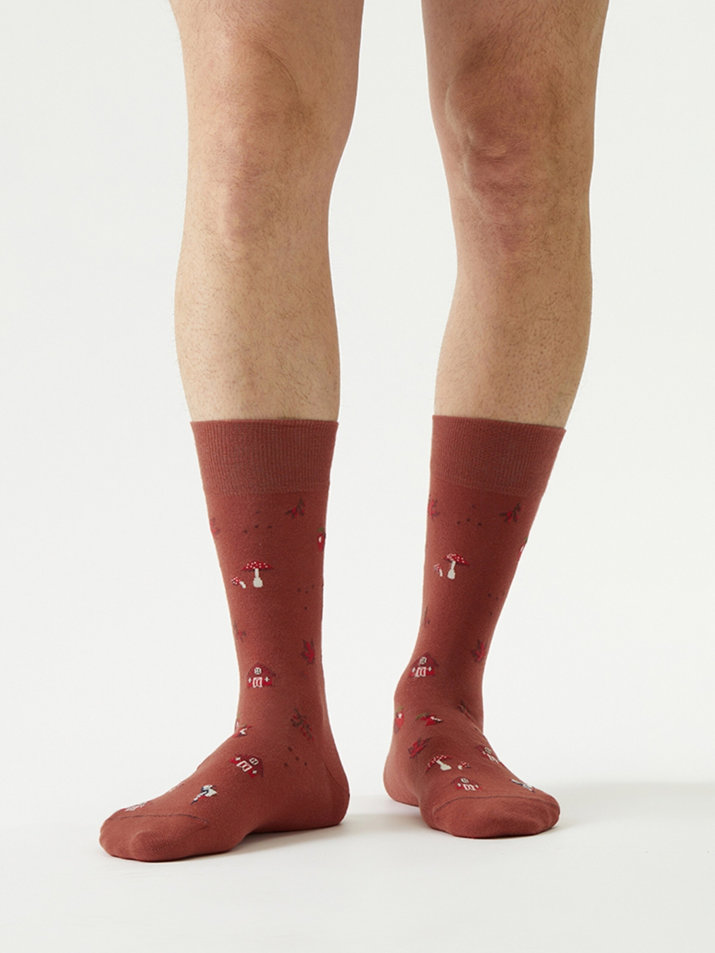 Von Jungfeld Socks 'Herbst ICONS' in Red: front