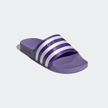 purpurinė ADIDAS ORIGINALS Šlepetės 'Adilette'