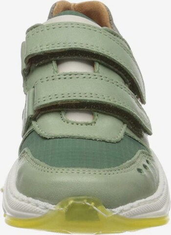 BISGAARD Sneakers in Green