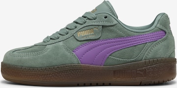 PUMA Platform trainers 'Palermo' in Green: front