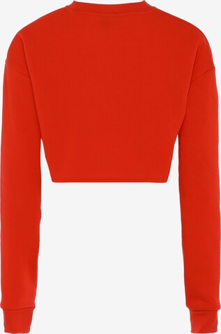 NALLY Sweatshirt in Rot