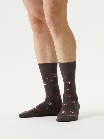 Von Jungfeld Socks 'Herbst Icons' in Brown