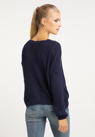 usha BLUE LABEL Sweater in Blue