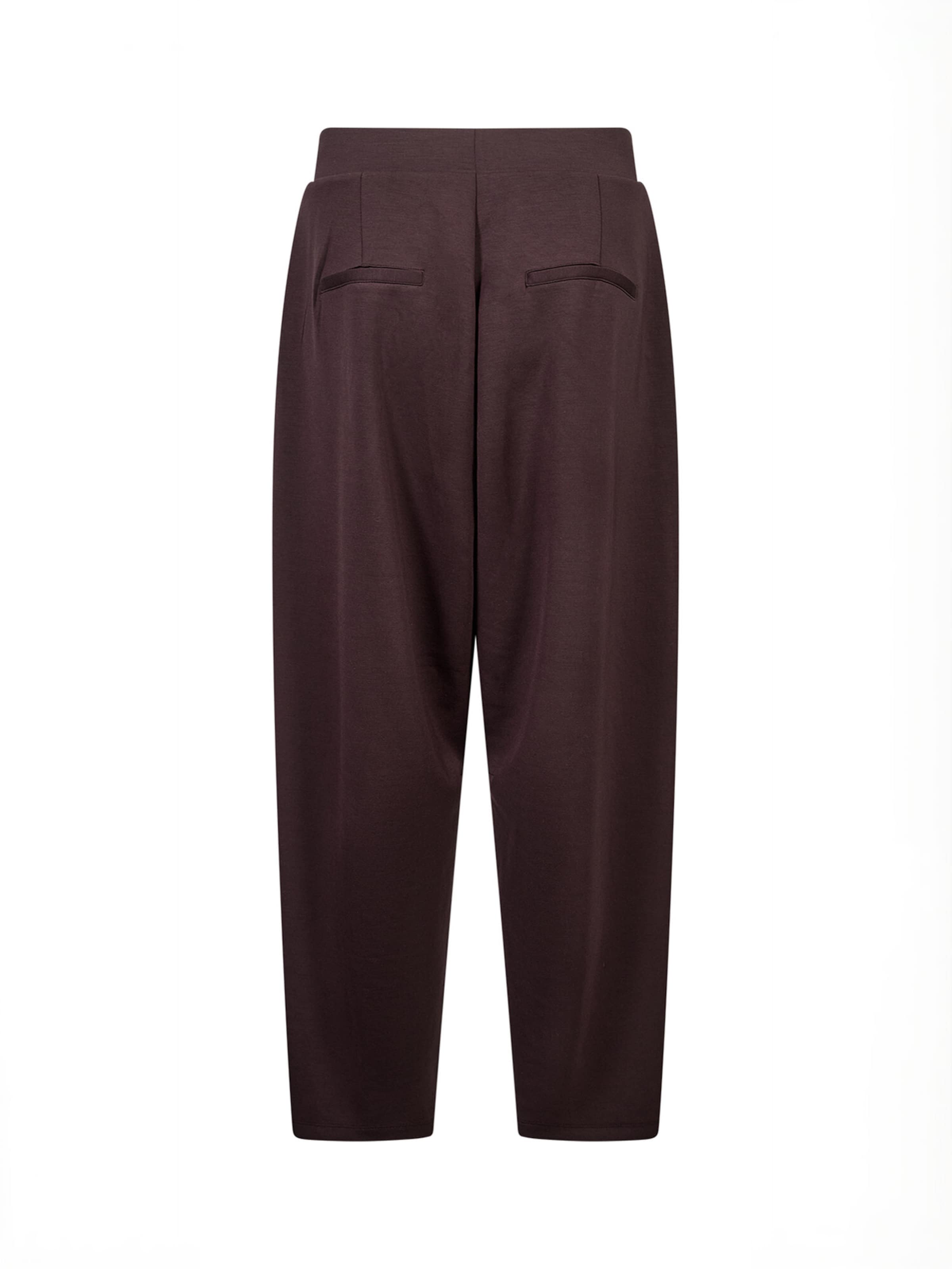 regular Pantaloni ' SC-BANU ' di Soyaconcept in marrone: dietro