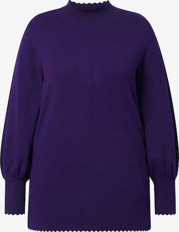 Ulla Popken Pullover in Lila: Vorderseite