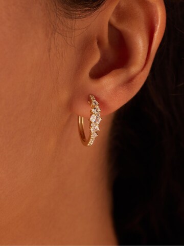 Lucardi Earrings in Gold: front